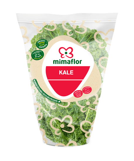 Imagem de Couve Kale Verde I (Bls) 200g