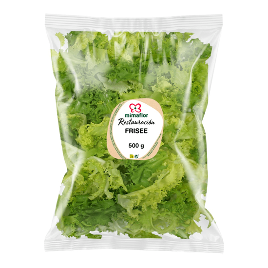 Imagem de Salada Chicoria Fina Frisada 1kg