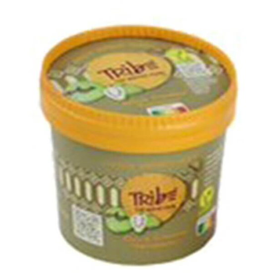 Imagem de Sorbet de Graviola TRIBE emb.160ml