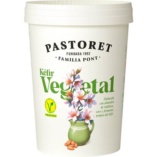 Imagem de Kefir Vegetal PASTORET emb.500g