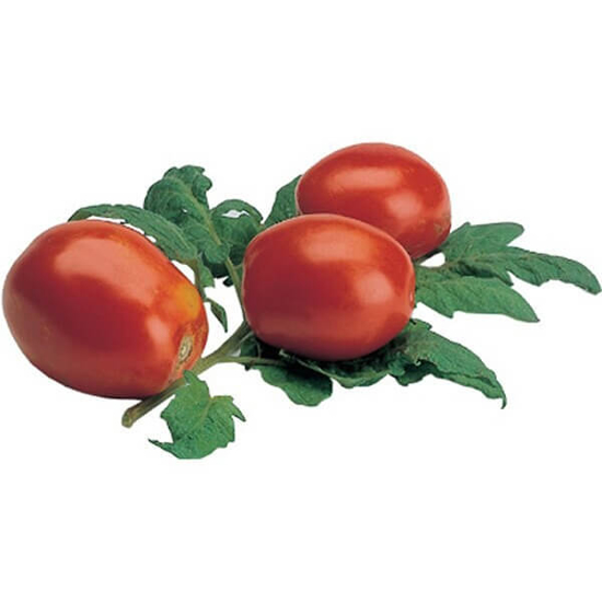 Imagem de Tomate Chucha 6 COMBISABOR (kg)