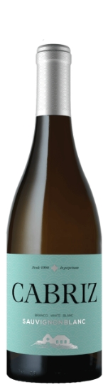 Imagem de Vinho Branco Sauvig Blanc CABRIZ 75cl