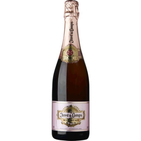 Imagem de Espumante Millésimé Rosé JUVÉ Y CAMPS garrafa 75cl