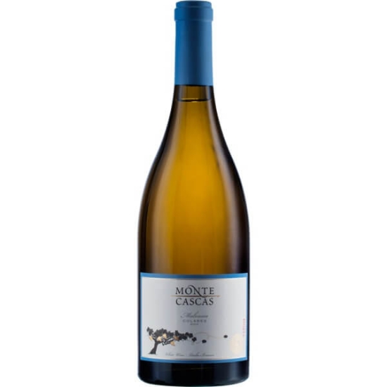 Imagem de Vinho Branco de Colares Malvasia MONTE CASCAS garrafa 75cl