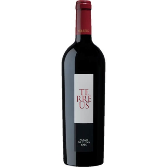 Imagem de Vinho Tinto de Espanha TERREUS garrafa 75cl