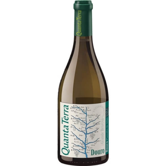 Imagem de Vinho Douro Branco Grande Reserva Magnum QUANTA TERRA garrafa 150cl