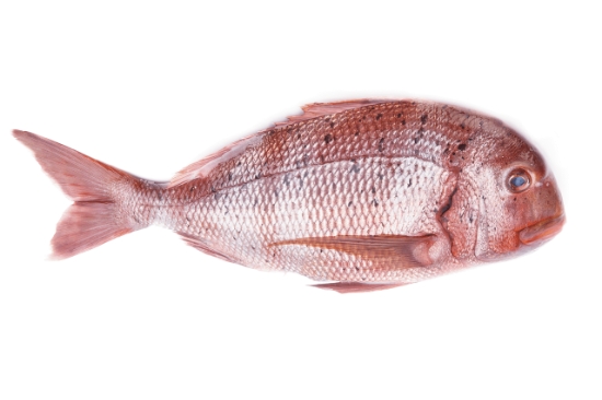 Imagem de Pargo De Riscas 1/2kg Fresco (kg)