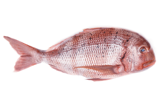 Imagem de Pargo De Riscas 4/5kg Fresco (kg)