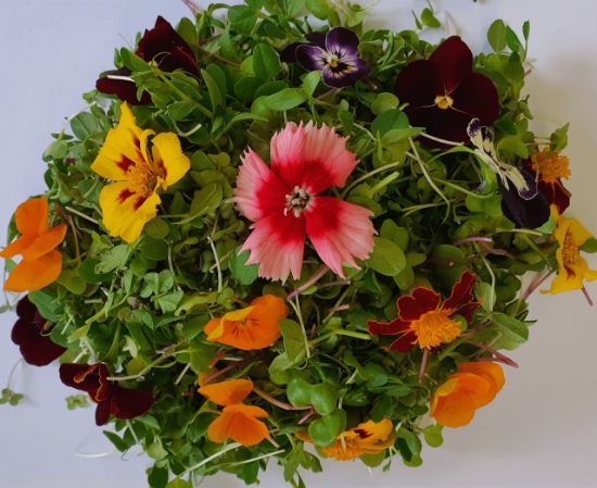 Imagem de Micro legumes Mix Com Flores 125g