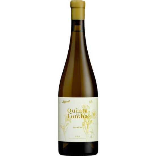 Imagem de Vinho Branco do Dão Garrafeira QUINTA DA LOMBA garrafa 75cl