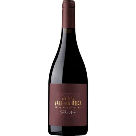 Imagem de Vinho Tinto Pinot Noir QUINTA VALE DA ROCA garrafa 75cl