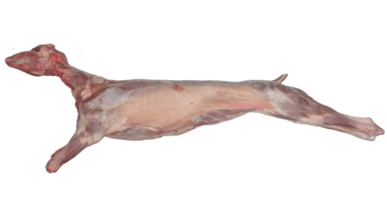 Imagem de Cabrito Nacional (4 A 6Kg) (kg)