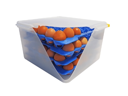 Mostrar detalhes para False Gn 2/3 P/Ovos 4 Tab.Azul Araven 1Un Imagem de False Gn 2/3 P/Ovos 4 Tab.Azul Araven 1Un