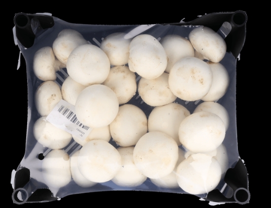 Imagem de Cogumelos Brancos Médios Embalagem 1kg