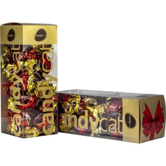 Imagem de Bombons de Chocolate Praliné com Avelãs CANDYCAT caixa 208g