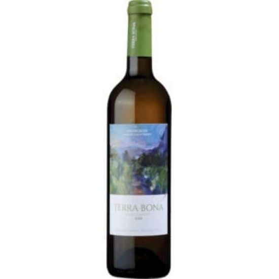 Imagem de Vinho Branco da Madeira Dop Family Harvet TERRA BONA 75cl